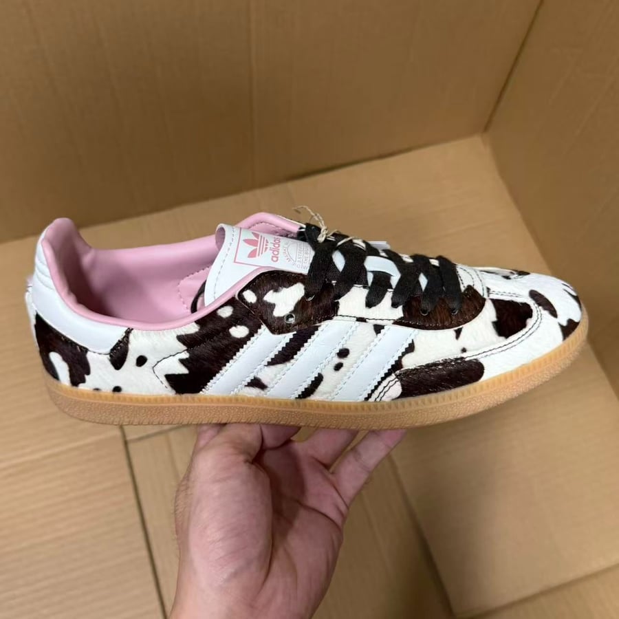 View 6 - White / Brown